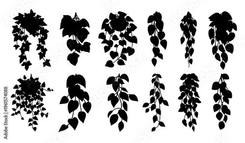 Cutout creeper and climbing plant vector set with lush green summer foliage isolated on white background