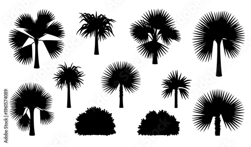 Scattered Mexican fan palm trees and shrub foliage vector set with summer greenery isolated on white background for design assets
