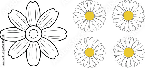 Daisy Flower Vector Set Featuring Outline Blossom and Colored Chamomile Flowers with Yellow Centers for Floral Design and Nature Illustration