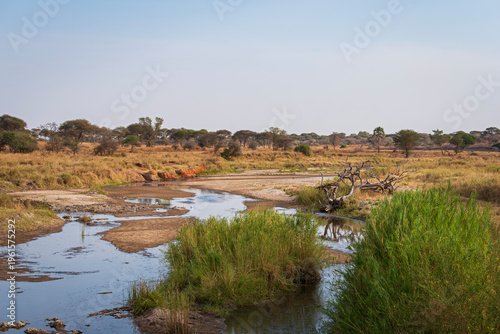 river flows through savanna landscape of tarangire national park tanzania
