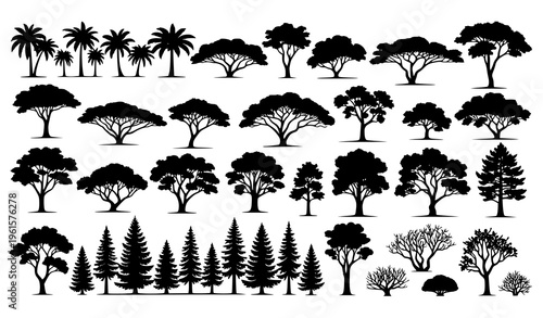 Big set of tree silhouettes from tropical temperate and desert biomes isolated on white background vector illustration