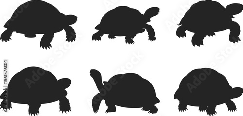 Silhouette collection of tortoise poses, black animal shapes in different orientations, reptile shell variations for wildlife design illustration