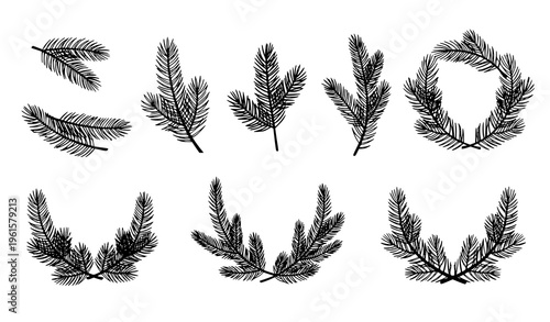 Hand drawn spruce fir branch vector set doodle conifer design elements