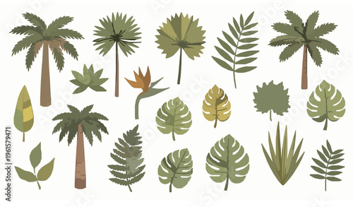 Hand drawn tropical palm tree vector set doodle beach botanical design
