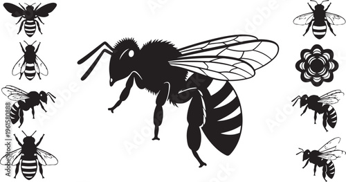 Black and white bee illustrations with various flying poses