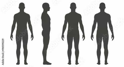 Human Body Silhouettes Front Side Back Views.