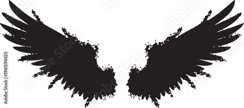 Black wings silhouette with grunge texture on white background