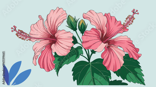 Hibiscus Bloom: Capturing the exquisite beauty of Hibiscus flowers in full bloom. Delicate petals of vibrant pink unfurl to reveal intricate details, celebrating nature's artistry.