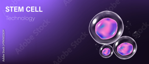 Stem cells concept. Stem cells for website, media and publications. Medical science background. Microbiology. 