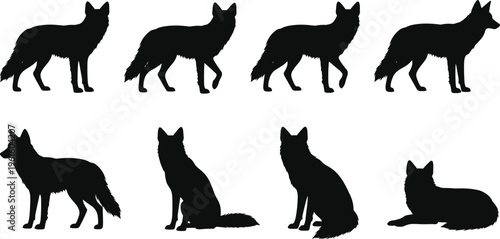 Black silhouettes of wolves in different poses Vector