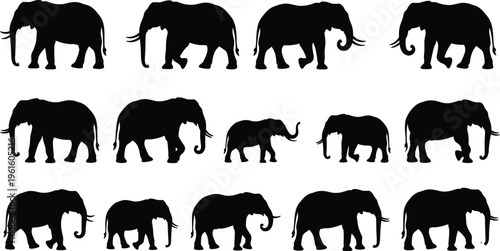 A group of black elephant silhouettes on a white background Vector
