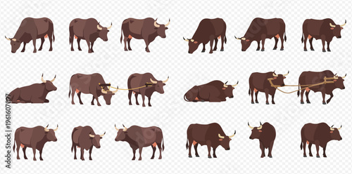 Set of various brown bull and ox illustrations in different poses, including grazing, standing, and pulling a cart.