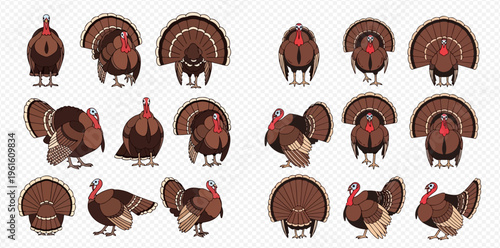 Set of cartoon turkeys in various poses and views, perfect for Thanksgiving and autumn designs.