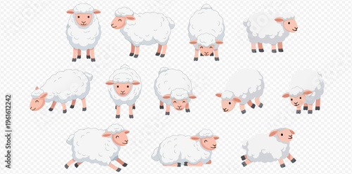 Set of cute white sheep in various poses, cartoon vector illustration for farm animals.