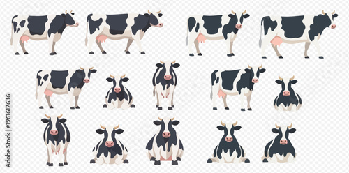 Set of black and white dairy cows in various poses, including standing, sitting, and front views, on a transparent background.