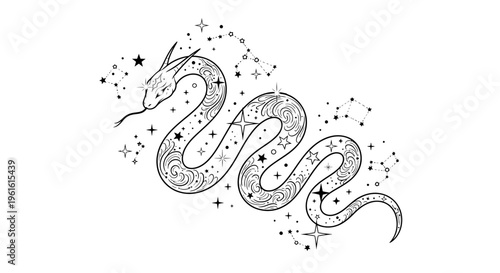 Stylized snake illustration with stars and constellations against white background