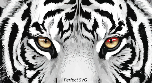 Intense White Tiger Eyes Close-up Portrait - Fierce Predator Gaze