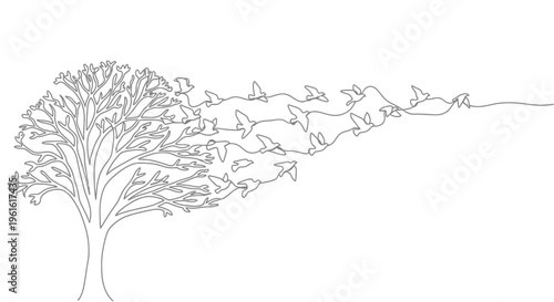 Tree transforming into flock of birds, freedom, nature, abstract line art