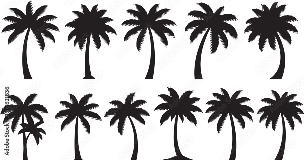 Fototapeta premium Black Silhouettes of Palm Trees on White Background