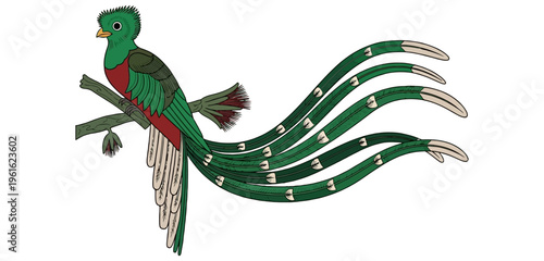 peacock feather isolated on white background(the sacred Quetzal bird)