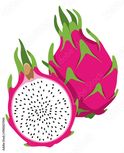 Vibrant Dragon Fruit Illustration A Tropical Delight in Vector Form.