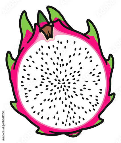 Vibrant Dragon Fruit Slice A Tropical Delight in Detailed Illustration.