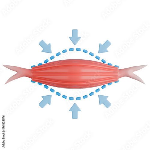 Muscle Loss Due to Sarcopenia. 3D Render Icon.