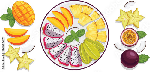 Tropical Fruit Platter Vector Illustration with Mango Pineapple Dragon Fruit Starfruit Passionfruit and Exotic Fresh Slices Healthy Dessert Plate Collection for Menu Packaging and Design Projects