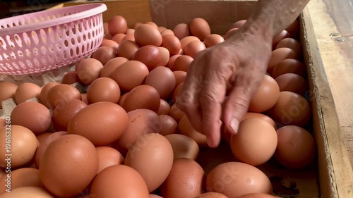 4K buyer hand selecting fresh brown eggs at market and placing into basket. Natural food and daily life scene. Perfect for food, agriculture, shopping, market, nutrition, and lifestyle themes.