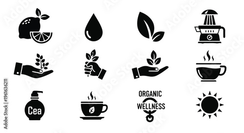 Organic wellness icons, eco friendly symbols, natural health signs, 10 black vector graphics