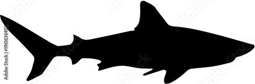 silhouette of shark
