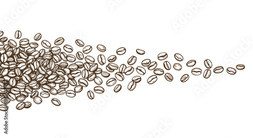 Coffee plant branch with ripe berries and lush leaves a vintage botanical illustration for design projects and educational materials