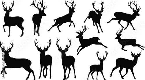 Collection of twelve deer silhouettes with antlers in multiple poses including standing, walking, running, and leaping, wildlife illustration concept for design and nature studies
