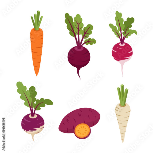 Collection of six root vegetable vector icons including carrot, beetroot, radish, turnip, sweet potato with cut slice, and parsnip, all with green leaves on white background.