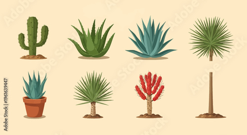 Collection of desert plant vector illustrations featuring saguaro cactus, aloe vera, blue agave, yucca palm, potted succulent, and flowering arid flora icons on a beige background.