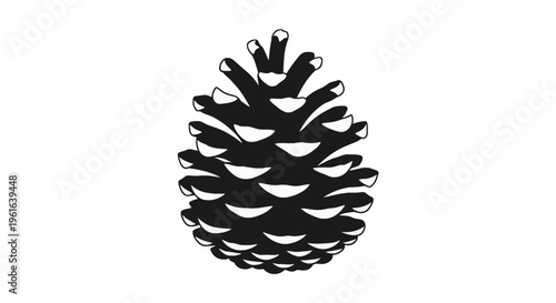 Single black and white silhouette of a pinecone isolated on a white background. Detailed vector illustration showing the scales of a conifer seed cone from a pine or fir tree.