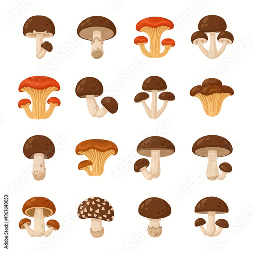 Set of sixteen edible and wild mushroom icons including chanterelles, porcini, boletes, and various forest fungi, isolated on a white background for culinary and botanical use.