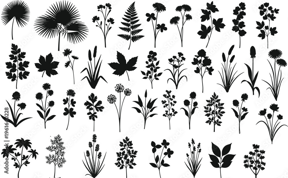 Fototapeta premium Large collection of botanical plant silhouettes vector illustration various flowers leaves herbs isolated on white background nature design elements
