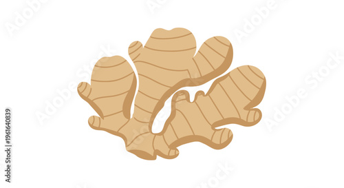 Ginger root vegetable flat illustration design
