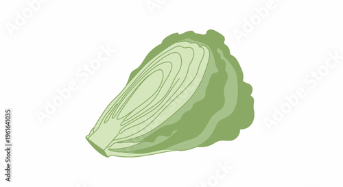 Half cut cabbage illustration with visible internal layers
