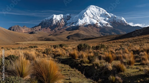 Snow capped mountain landscape under a bright blue sky with grassy foreground