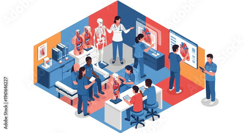 Medical students learning anatomy in a classroom setting with models.