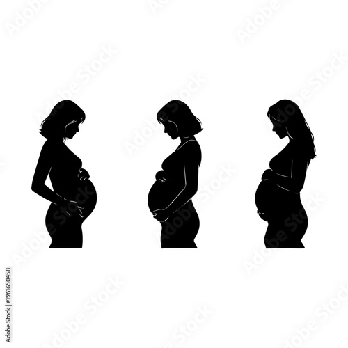 Pregnant Women Side View Silhouettes Maternity Stages Vector Illustration