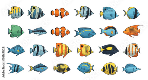 Colorful Tropical Fish Collection, Marine Life, Underwater Animals, Vector Art