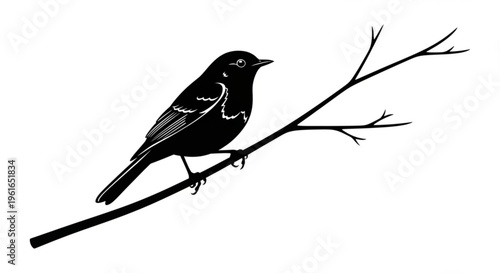 Black bird perched on bare tree branch isolated on white background simple illustration