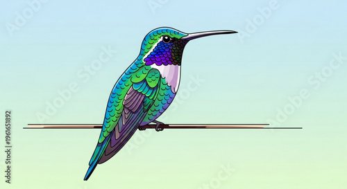 Vibrant hummingbird perched on thin branch against soft gradient background