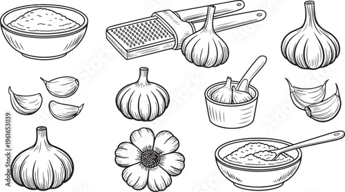 Garlic cooking ingredients set cloves slices herbs bowls hand drawn sketch