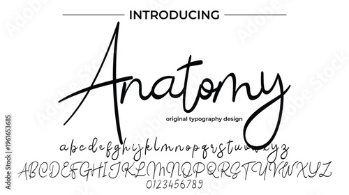 Anatomy Script Font Typography – Modern Handwritten Calligraphy Alphabet Design