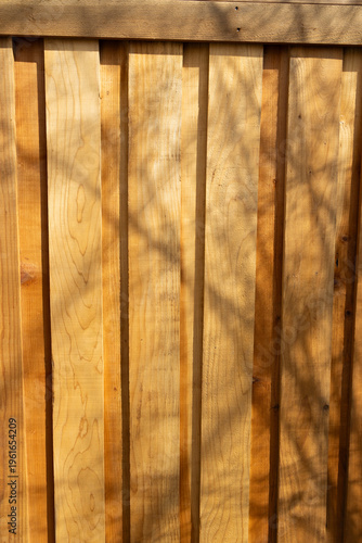 Wooden Fence With Shadows From Trees on a Sunny Day in a Garden Area in the Afternoon