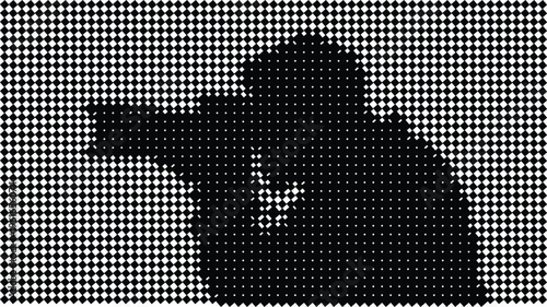 A man in a hooded jacket